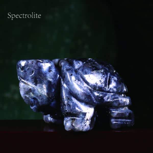 healing crystal turtle spectrolite
