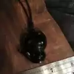 crystal pendant fox