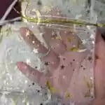 Organza Bags