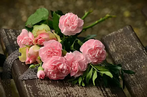 rose